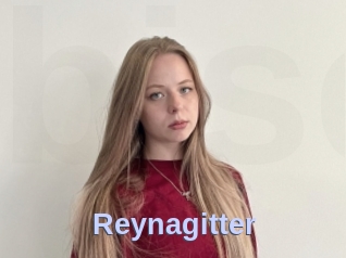 Reynagitter