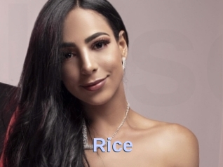 Rice