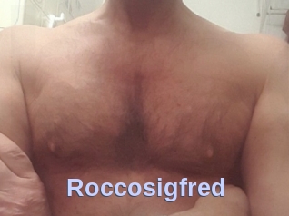 Roccosigfred