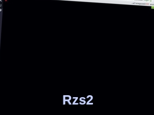 Rzs2