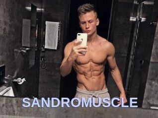 SANDRO_MUSCLE