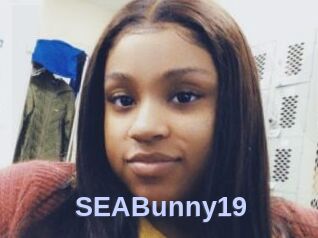 SEABunny19