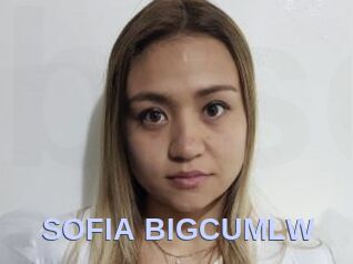 SOFIA_BIGCUMLW