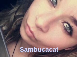 Sambucacat