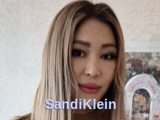 SandiKlein
