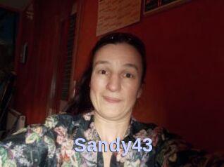 Sandy43