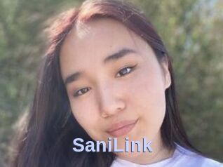 SaniLink