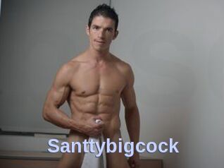 Santtybigcock