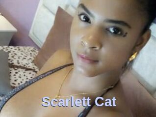 Scarlett_Cat