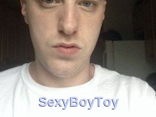 SexyBoyToy