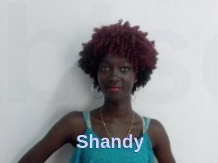 Shandy