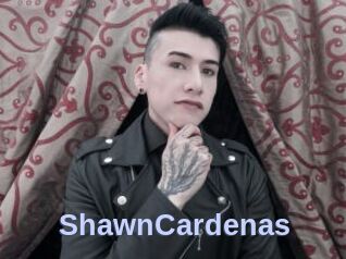ShawnCardenas