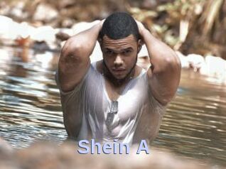 Shein_A