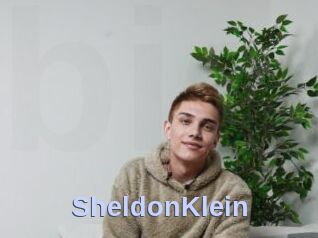 SheldonKlein
