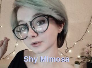 Shy_Mimosa