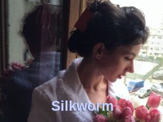 Silkworm