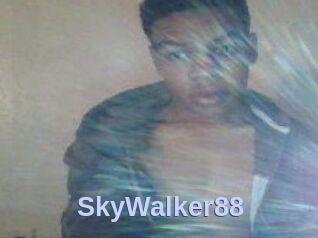SkyWalker88