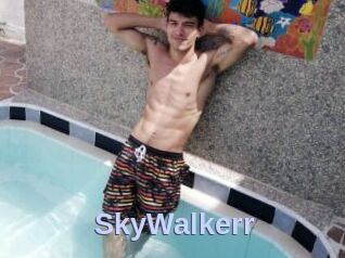 SkyWalkerr