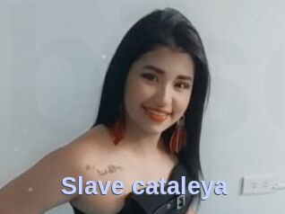 Slave_cataleya