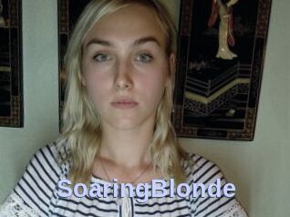 SoaringBlonde