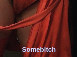 Somebitch