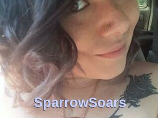 SparrowSoars