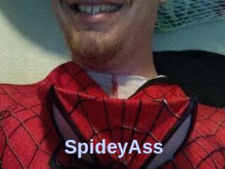 SpideyAss
