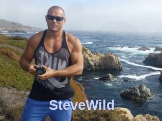 Steve_Wild