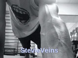 StevieVeins