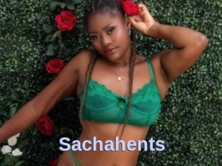 Sachahents
