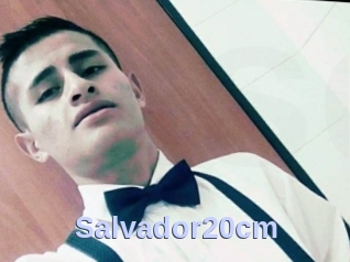 Salvador20cm