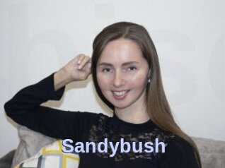 Sandybush