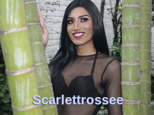 Scarlettrossee