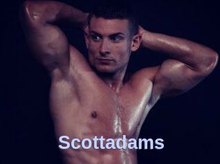 Scottadams
