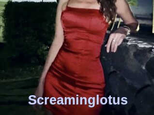 Screaminglotus