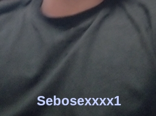 Sebosexxxx1