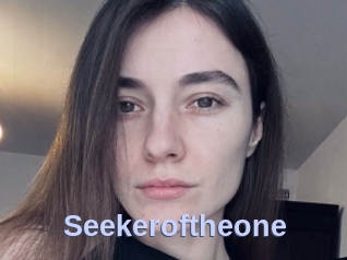 Seekeroftheone