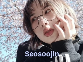 Seosoojin