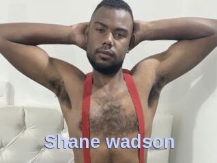 Shane_wadson