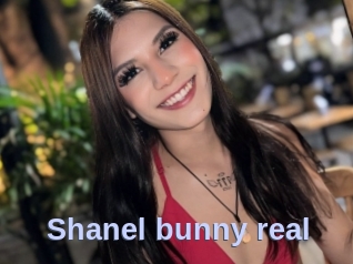 Shanel_bunny_real