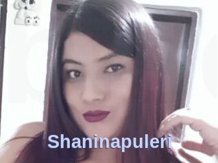 Shaninapuleri