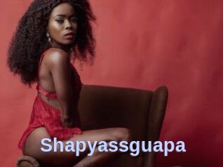 Shapyassguapa