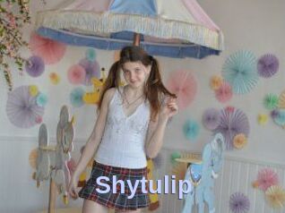 Shytulip