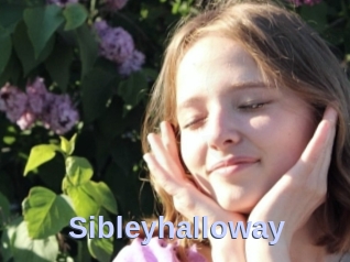 Sibleyhalloway