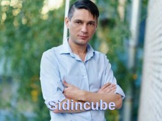 Sid_incube