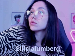 Silicialumberg