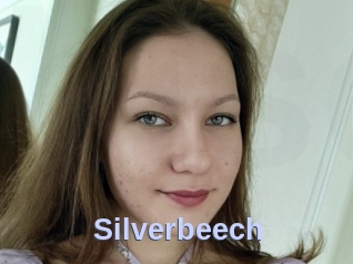 Silverbeech