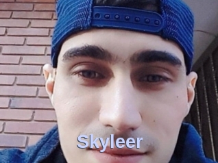 Skyleer