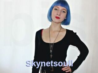 Skynetsoull