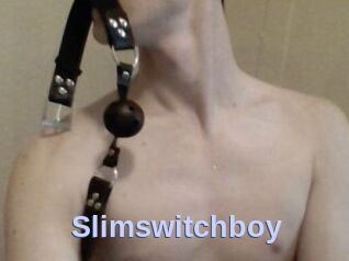 Slimswitchboy